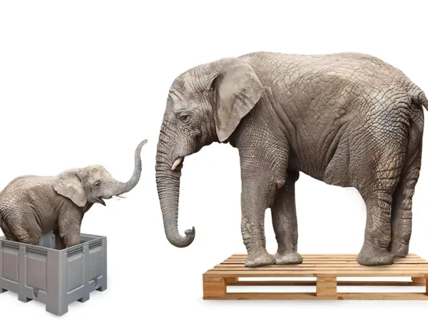 elephant on crate